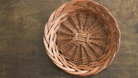 奥运健儿荣耀征途，卓越运动员获终身支持计划启动